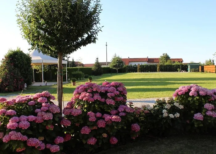 Sarmore ファームステイ *